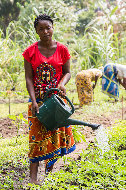 Congo Brazzaville programme d’urgence d’agruclture pour femme