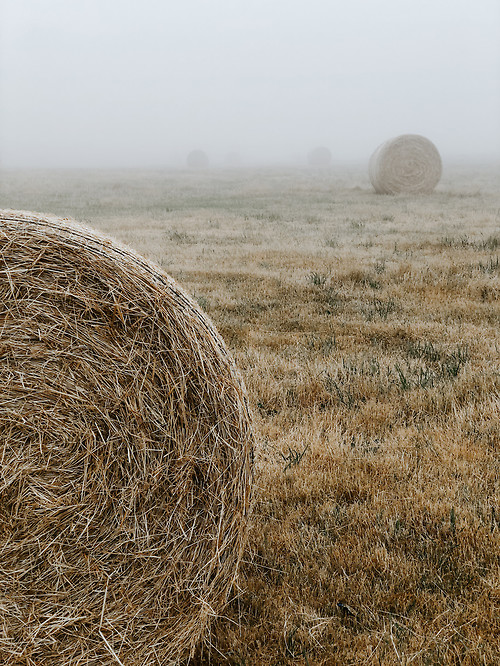 hay bales in a field from Matt Seymour