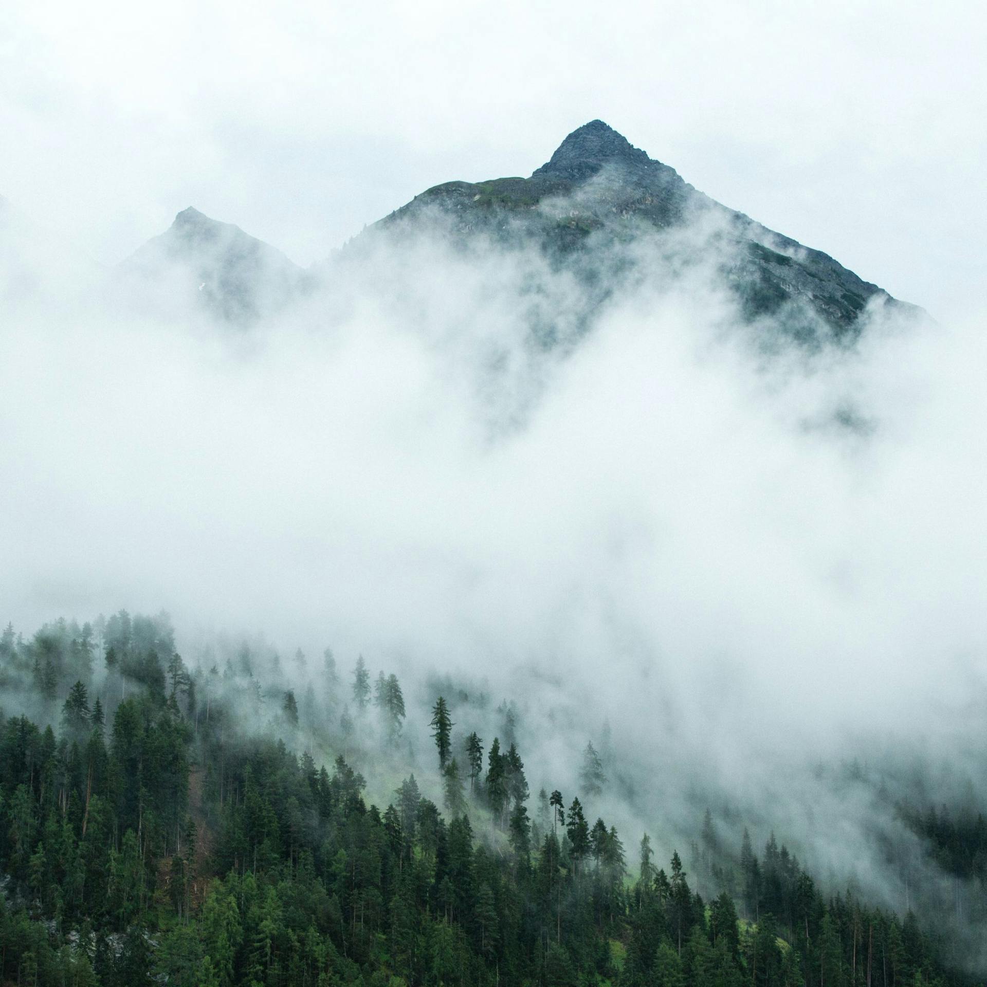 Physalide image, Photo d'une montagne dans la brume