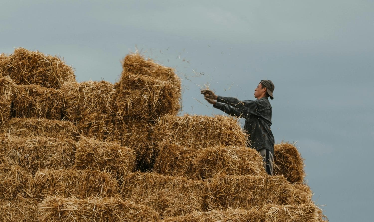 Photo de mockups de caissons et ossatures bois remplis de bottes de paille