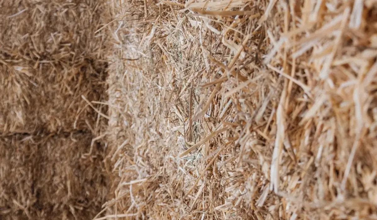 Physalide image, Photo d'un mur en bottes de paille